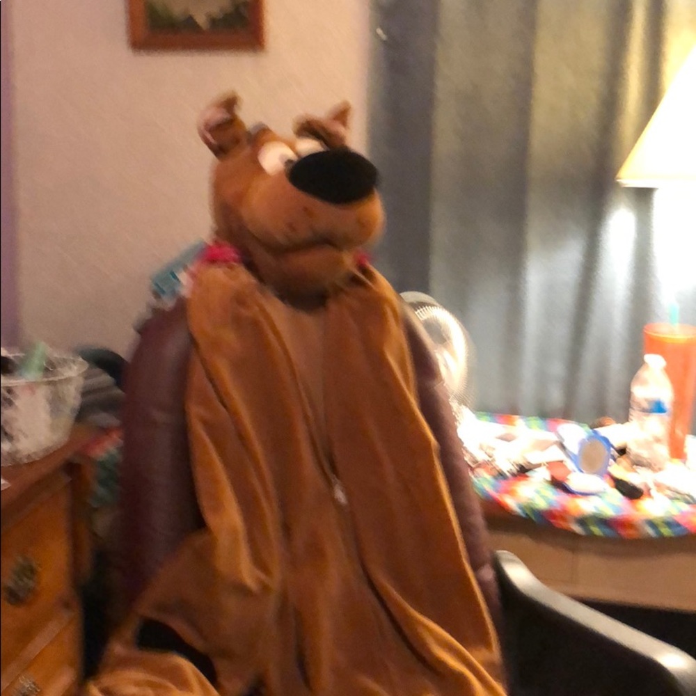 Scooby Doo costume